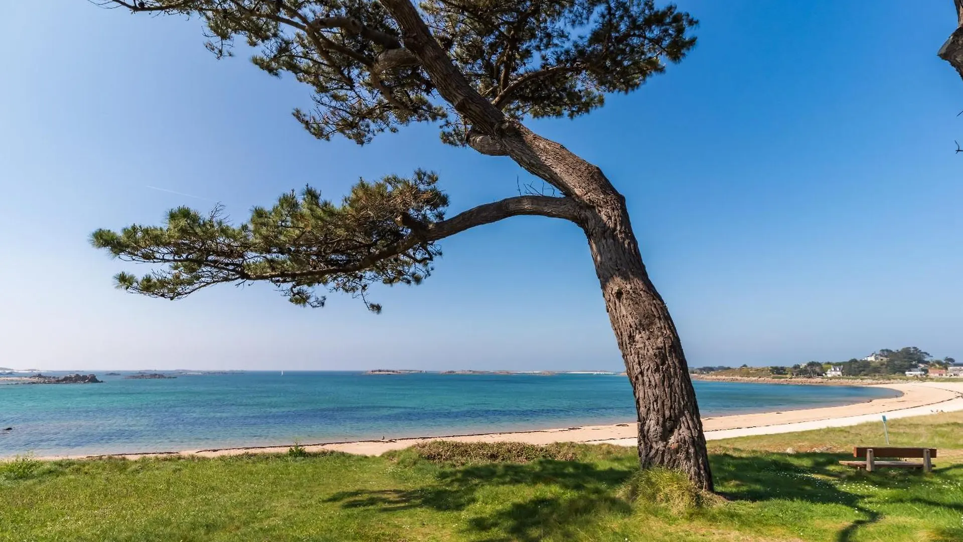 L'Armorique - Proche Plage Avec Parking Trébeurden Francia